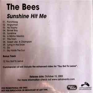 A Band Of Bees - Sunshine Hit Me