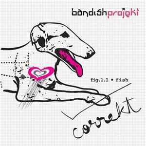 Bandish Projekt - Correkt