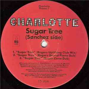 Charlotte - Sugar Tree