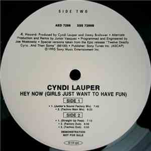 Cyndi Lauper - Hey Now (Girls Just Want To Have Fun)