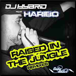 DJ Hybrid Feat Haribo - Raised In The Jungle Remixes
