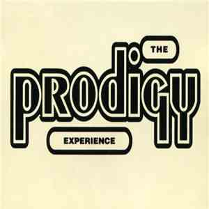 The Prodigy - Experience