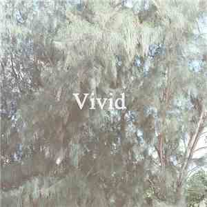 Bedroom  - Vivid