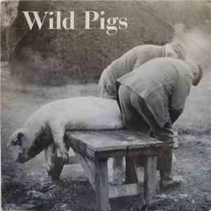 Wild Pigs - Les Chats Pelés