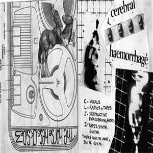 Cerebral Haemorrhage, The Horse He's Sick - D
