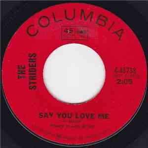 The Striders - Say You Love Me / Sorrow