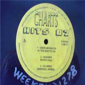 Various - Charts Hits 07