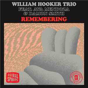 William Hooker Trio Feat. Ava Mendoza & Damon Smith - Remembering