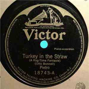 Pietro Deiro - Turkey In The Straw / Russian Rag