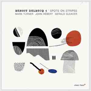 Benoit Delbecq 4 - Spots On Stripes