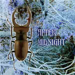 Stephen Ugo Rosin - After Midnight