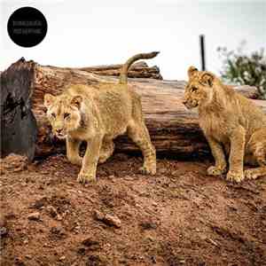 Sylvain Chauveau - Post-Everything