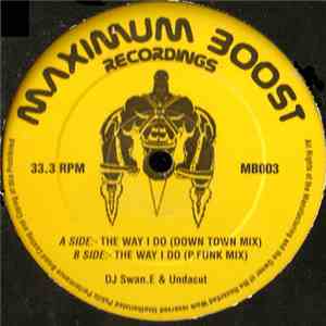 DJ Swan.E & Undacut - The Way I Do (Remixes)