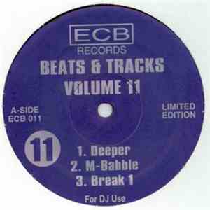 DJ Icey - Beats & Tracks Volume 11