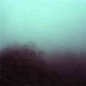 Listening Mirror - Falling Under