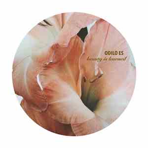 Odilo Es - Beauty Is Learned