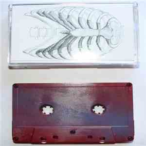 Atläs - Animal Bone