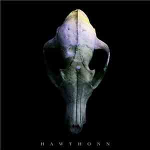 Hawthonn - Hawthonn