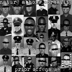 Nature Abhors Normality - Prior Offenses