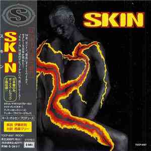 Skin  - Skin = スキン