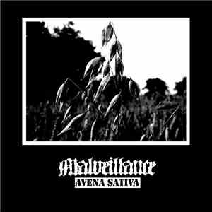 Malveillance - Avena Sativa