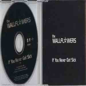 The Wallflowers - If You Never Got Sick
