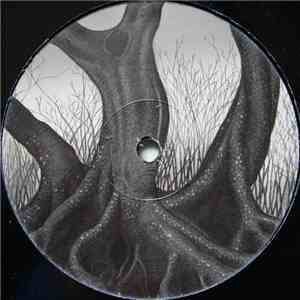 Wisp - Katabatic