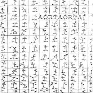 Aortaorta - Aortaorta