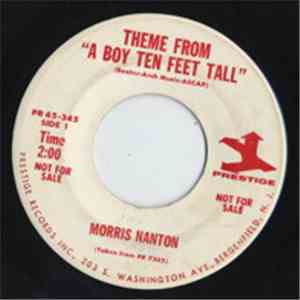 Morris Nanton - Theme From A Boy Ten Feet Tall