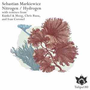 Sebastian Markiewicz  -  Nitrogen / Hydrogen