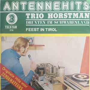Trio Horstmann - Drunten Im Swabenland