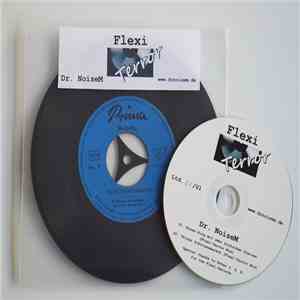 Dr. NoiseM - Flexi Terror 11
