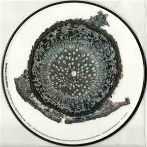 Merzbow & John Wiese - Free Piano b/w Hypersomnia