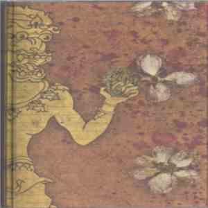 Tashi Dorji - Guitar Improvisations
