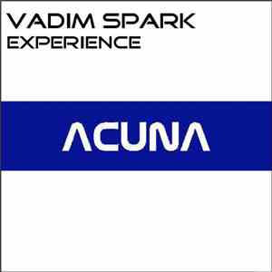 Vadim Spark - Experience