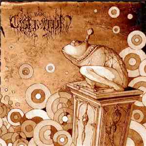 Cisfinitum - The Bog