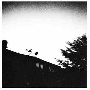 Swallowing Bile / The Bringer Of Everything - Swallowing Bile / The Bringer ...