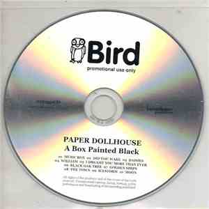 Paper Dollhouse - A Box Painted Black