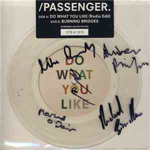 Passenger  - Do What You Like