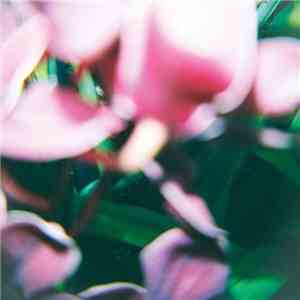 Trade Wind  - You Make Everything Disappear