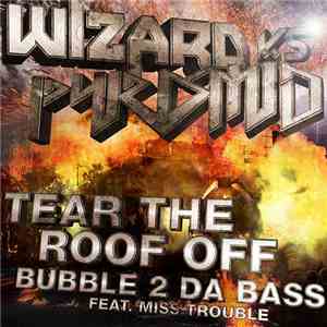 Wizard  vs Pyramid  - Tear The Roof Off
