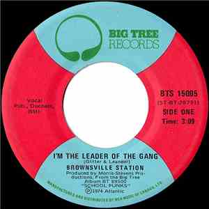 Brownsville Station - I'm The Leader Of The Gang / Fast Phyllis