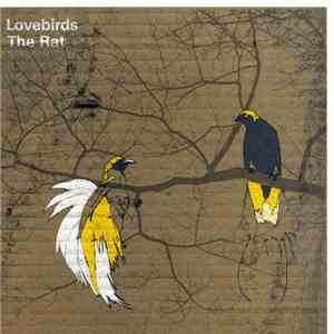 Lovebirds - The Rat