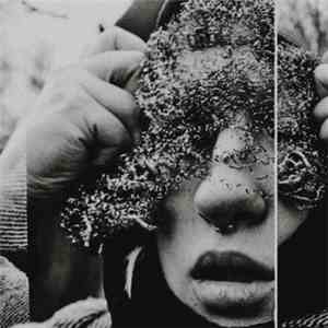 Hollow Press - Fleeting Joy