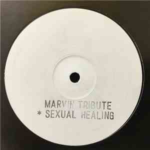 Marvin Tribute - Sexual Healing