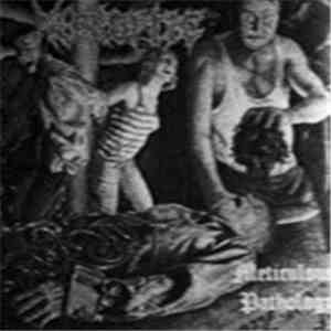 Necroptic - Meticulous Pathology