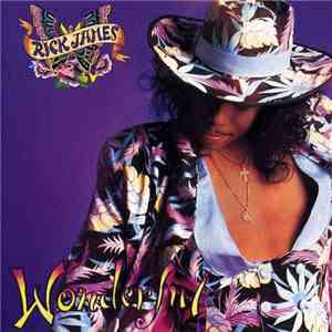 Rick James - Wonderful