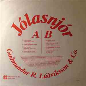 Guðmundur R. Lúðvíksson & Co. - Jólasnjór
