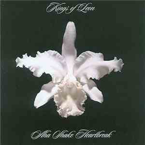 Kings Of Leon - Aha Shake Heartbreak