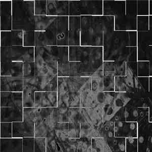 Hiroshi Hasegawa  /  xqm - Metastasis